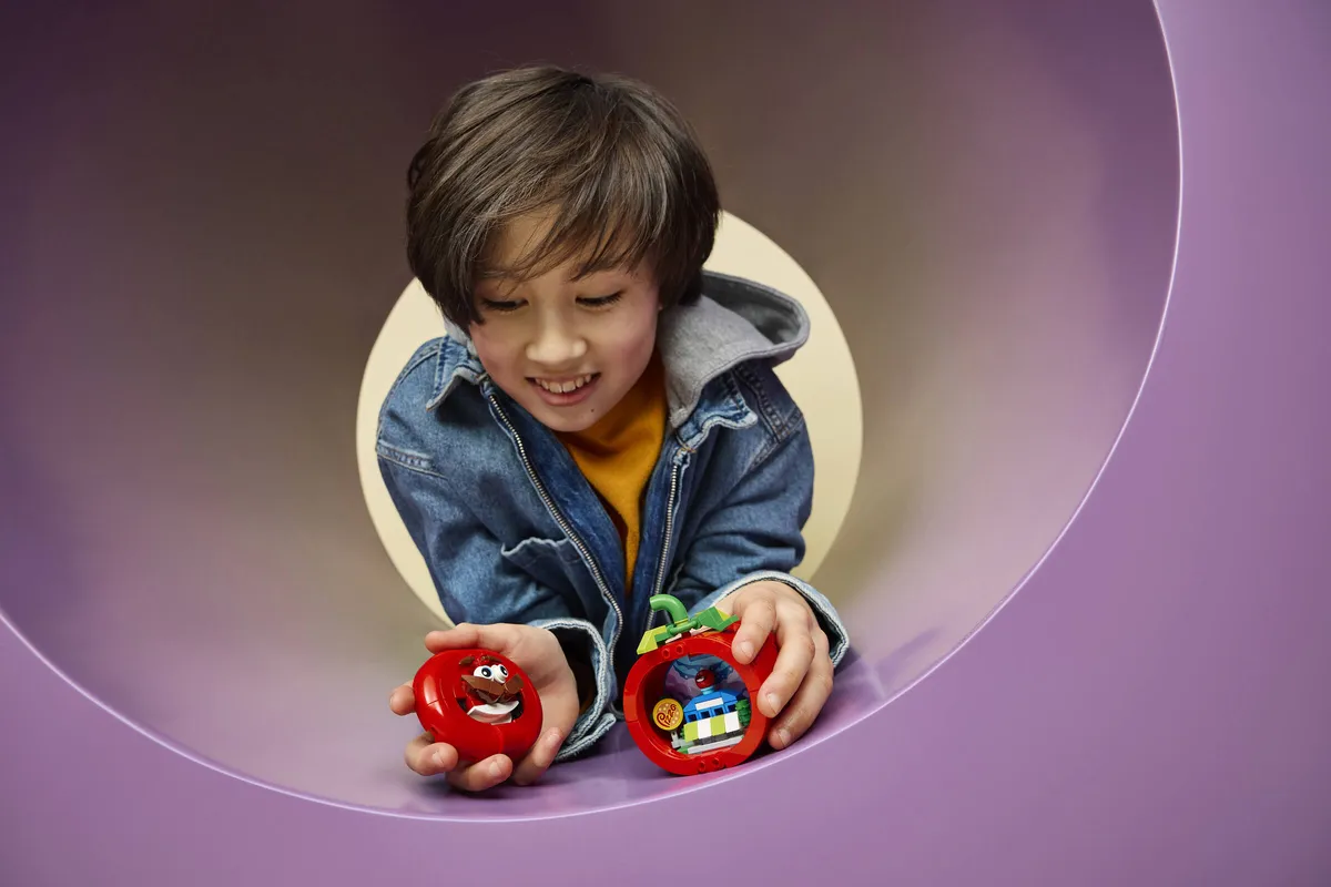 LEGO Tomatohead (77079) - image 9