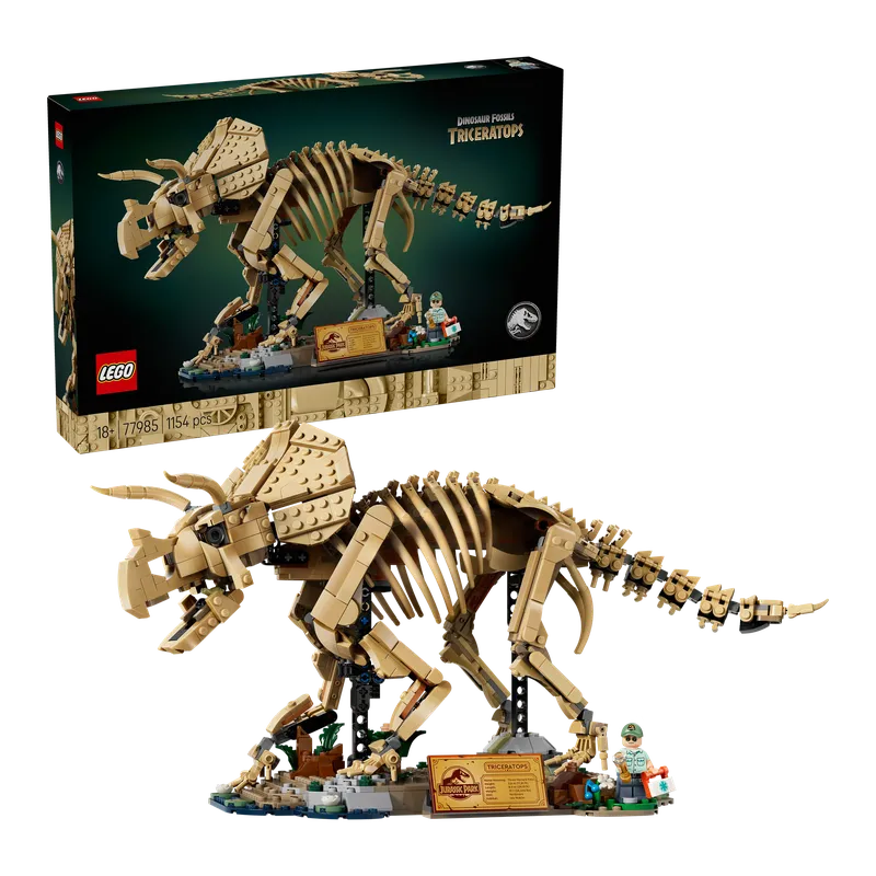 Dinosaur Fossils: Triceratops