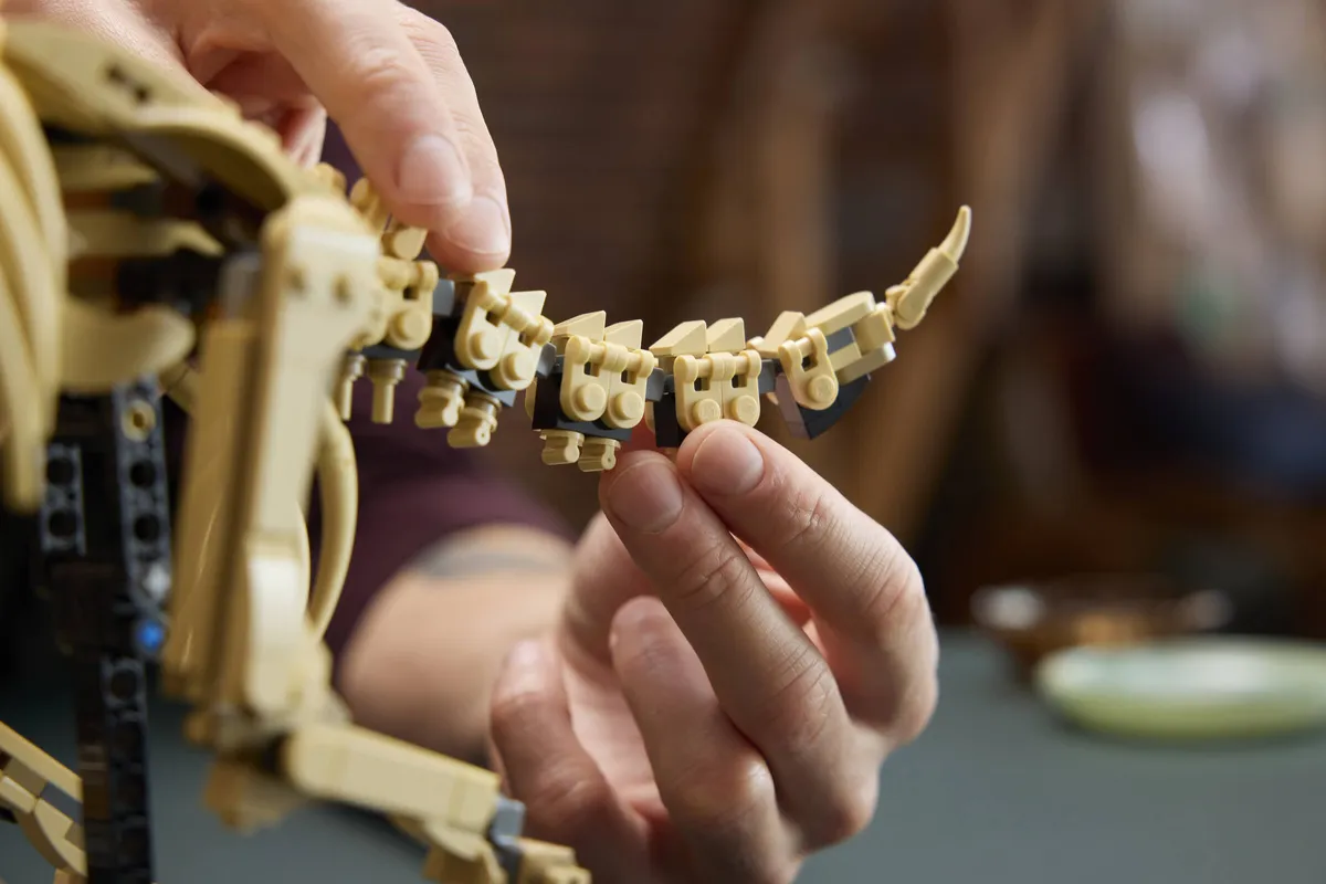 LEGO Dinosaur Fossils: Triceratops (77985) - Bild 9