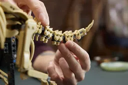 LEGO Dinosaur Fossils: Triceratops (77985) - afbeelding 9