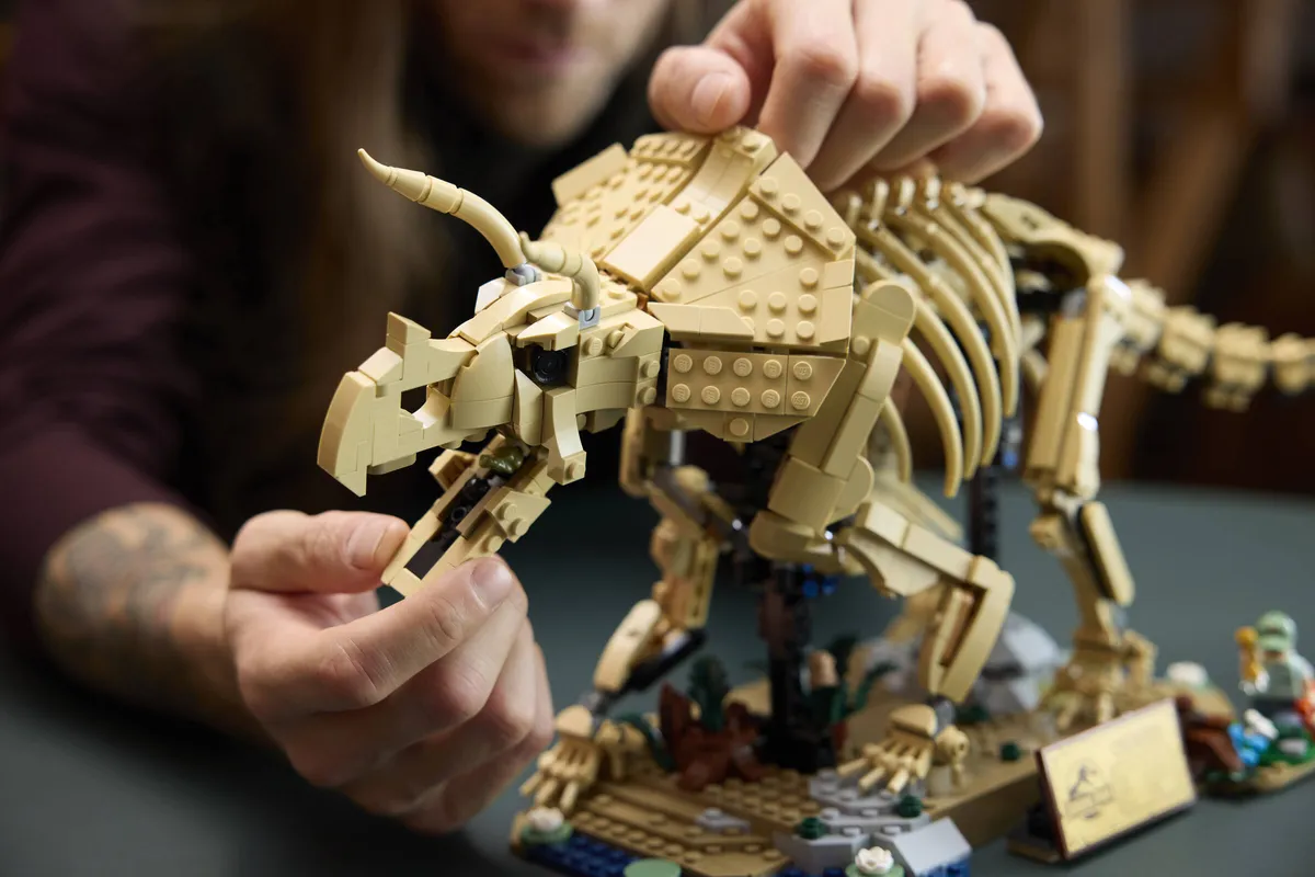 LEGO Dinosaur Fossils: Triceratops (77985) - Bild 11