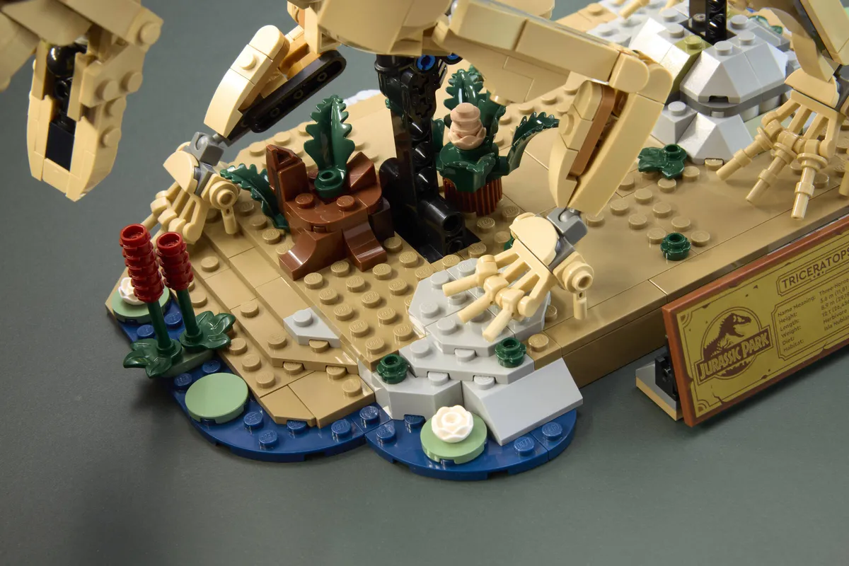 LEGO Dinosaur Fossils: Triceratops (77985) - Bild 12