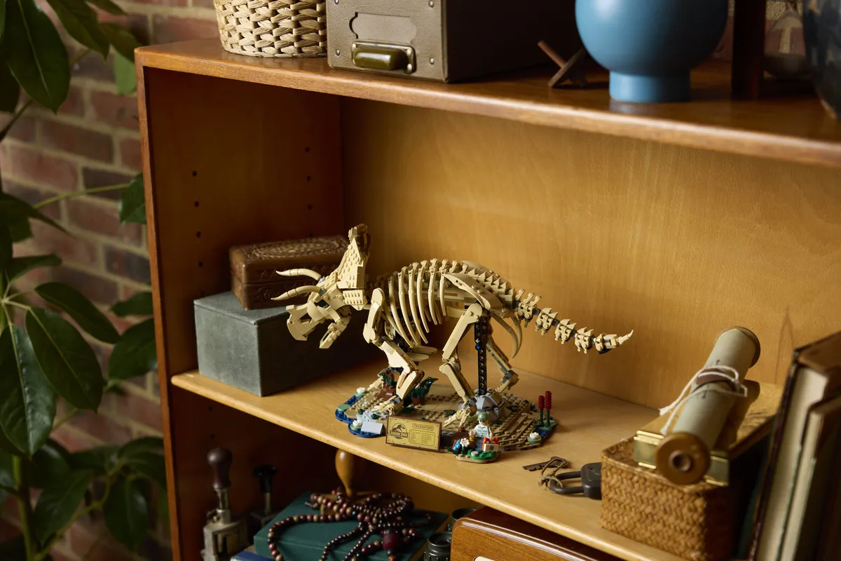 LEGO Dinosaur Fossils: Triceratops (77985) - Bild 15