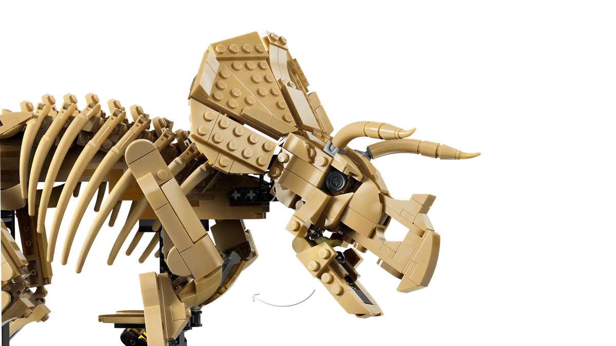LEGO Dinosaur Fossils: Triceratops (77985) - Bild 3