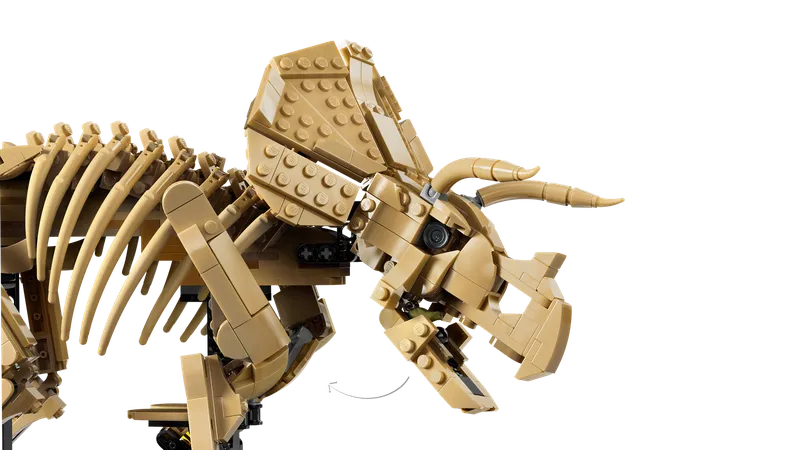 Dinosaur Fossils: Triceratops fra LEGO – produktbillede 5 af 17