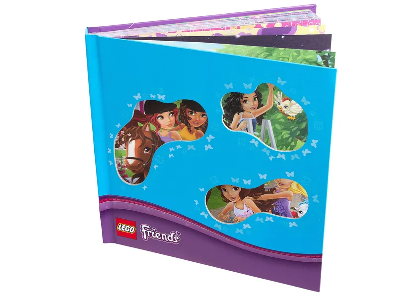 Friends: Friendship Book by LEGO – product photo