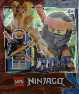 LEGO Cole (892290)