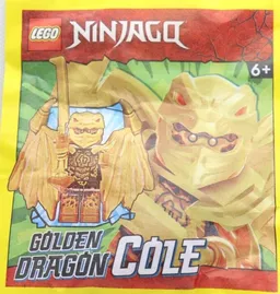 LEGO Golden Dragon Cole (892304)