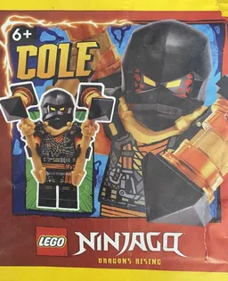 LEGO Cole (892408)