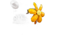 Mushroom Village - Afbeelding 2 van 2