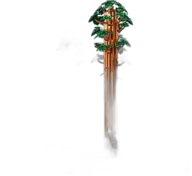 Sequoia Tree Trail - Afbeelding 2 van 2